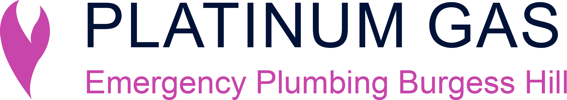 Emergency Plumbing Burgess Hill